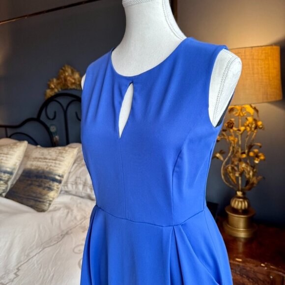 Blue Cynthia Rowley Dress - Picture 4 of 12